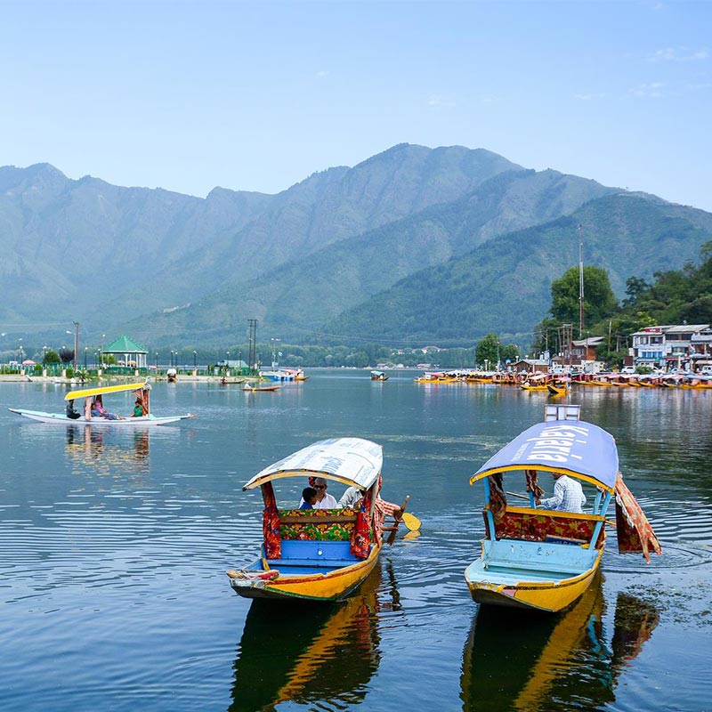 DAL LAKE